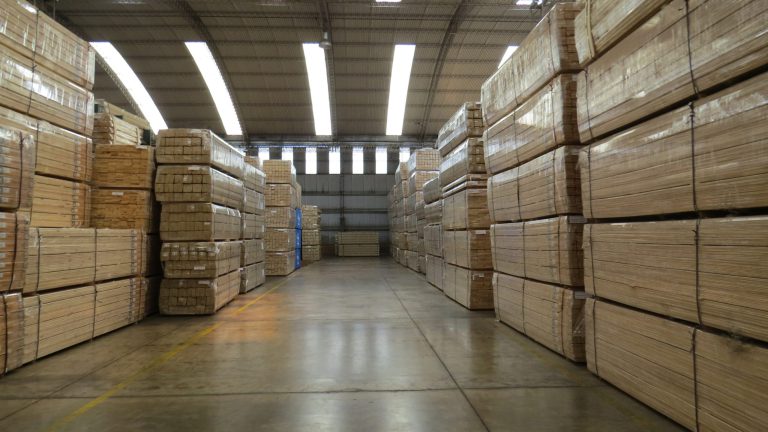 Saltus SRL